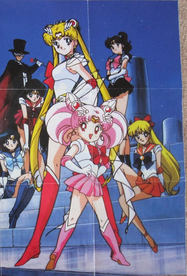 Sailor Moon Poster-Sammlung in Rehlingen-Siersburg