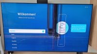 Samsung 65 Zoll GQ65Q95T QLED TV Bildschirm defekt Nordrhein-Westfalen - Dorsten Vorschau