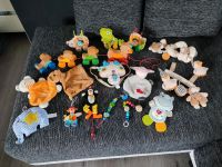Baby Kinder Spielsachen Thüringen - Ilmenau Vorschau