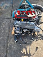 Motor Audi RS3 TTRS 2.5 TFSI CZG 367PS 340PS Komplett Berlin - Wilmersdorf Vorschau