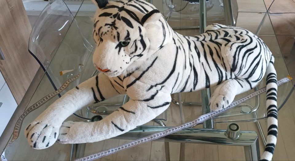 sibirischer Tiger sucht neues Zuhause in Gemünden