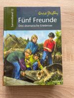 Sammelband 12, Drei Originalgeschichten der Fünf Freunde Baden-Württemberg - Unterkirnach Vorschau