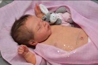 Bauchplatte von Antje Wenzek-Blumenstein Reborn Baby Hessen - Schmitten Vorschau