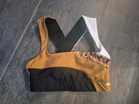Puma Sport BH Leo Sachsen - Wilkau-Haßlau Vorschau