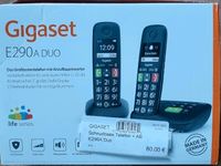 Gigaset E 290 A Duo - geeignet für Seniren Hessen - Linden Vorschau