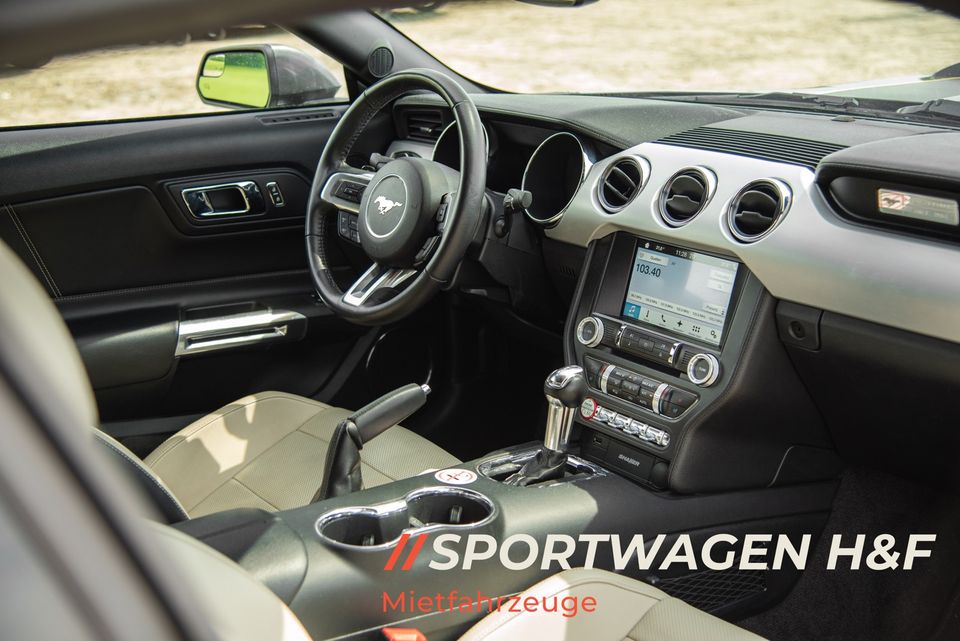 Ford Mustang GT 5.0 mieten V8 Sportwagen Hochzeit Auto Mietwagen in Löningen