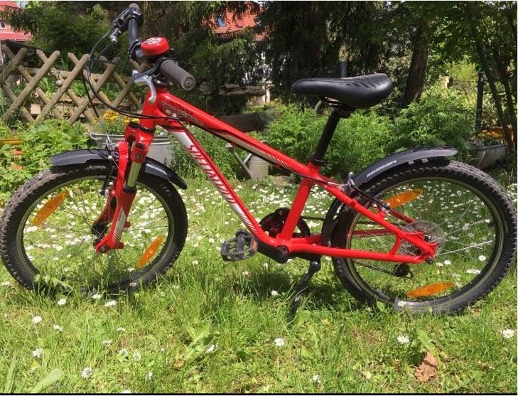 SPECIALIZED Kinder Fahrrad 20“ in Arnstadt