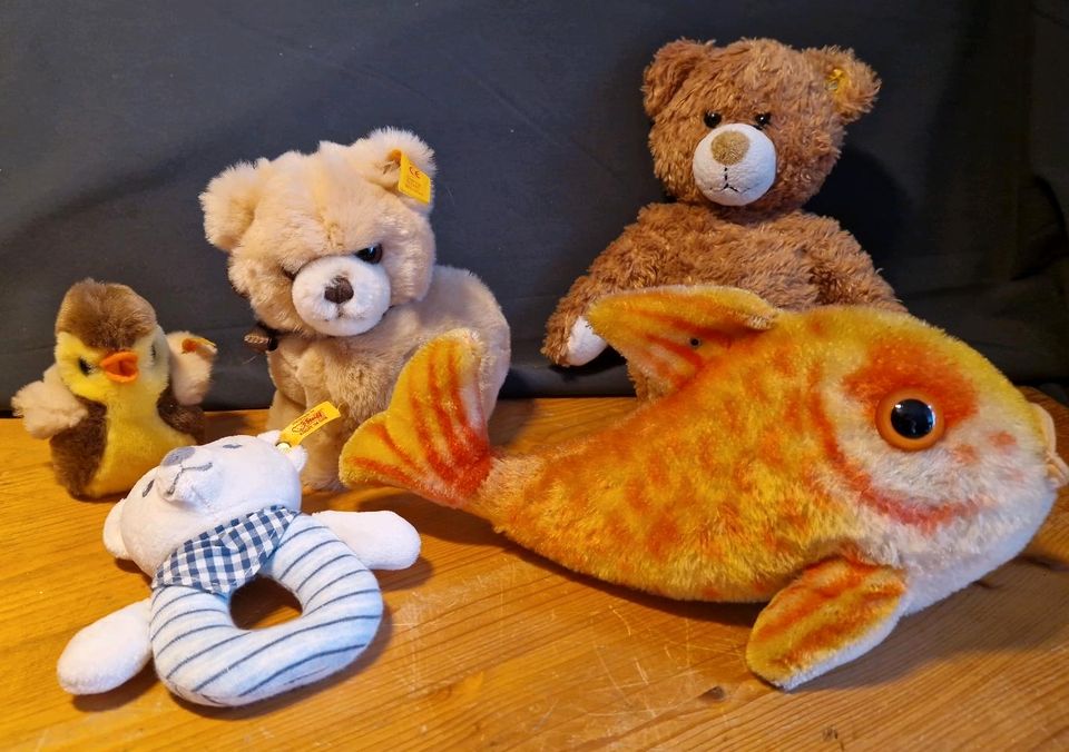 Steiff Tier, Teddys, Teddy Rassel,Vogel/Küken, Fisch.... in Ibbenbüren