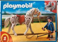 Playmobil Set 5107 Knabstrupper mit Pferdebox Hessen - Selters Vorschau