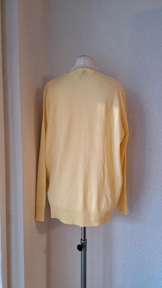 Damen strick Pullover V Kragen GrXL Neu in Bergkamen