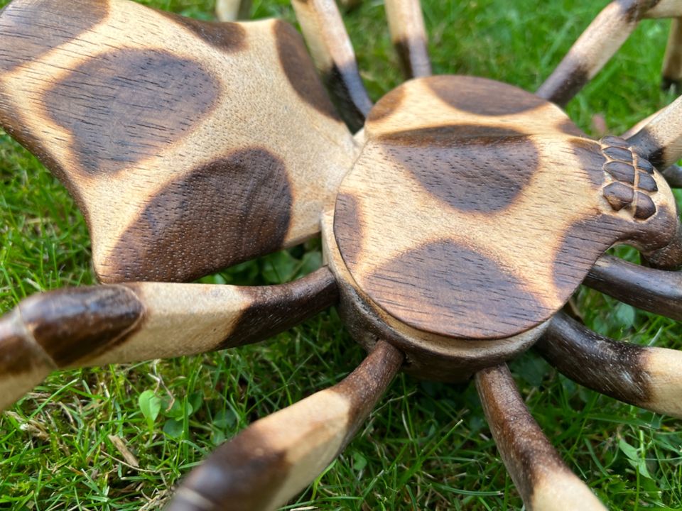 Spinne 40cm Holzspinne Tarantula Holz Terrarium Vogelspinne in Essen