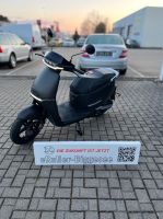 Horwin EK 1 Comfort Range eRoller  Elektro Roller Scooter 45 km/h Nordrhein-Westfalen - Olpe Vorschau