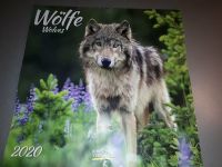Wolf Wölfe Wolves Bilder Poster Kalender 2020 ISBN 9783731839255 Nordrhein-Westfalen - Pulheim Vorschau