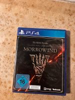 The Elder Scrolls ONLINE Morrowind Nordrhein-Westfalen - Ratingen Vorschau
