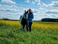 Suche Reiter mit Pferd zum gemeinsamen Ausreiten Niedersachsen - Eydelstedt Vorschau