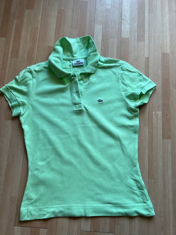 Lacoste Poloshirt Gr 36/38 Lind Cotton ECHT LACOSTE France in Koblenz