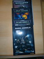 Warhammer Aos Space Marines, Dark Angels, Blood Angels Codizies Hannover - Vahrenwald-List Vorschau
