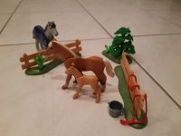 PLAYMOBIL: Pferdekoppel Hessen - Langgöns Vorschau