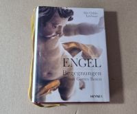 Buch Engel, Begegnungen mit Gottes Boten: Abt Odilo Lechner Niedersachsen - Harsum Vorschau