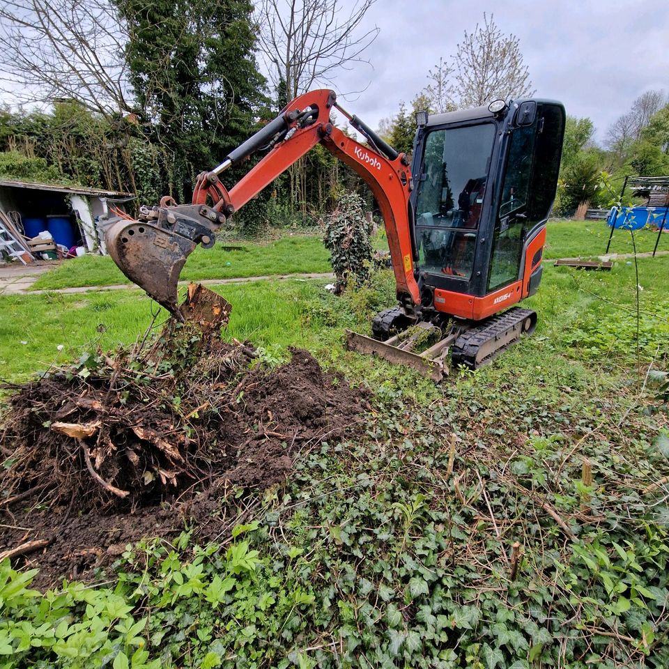 Baggerarbeiten, Minibagger, Erdaushub,,Garten und landschaftsbau in Bönen