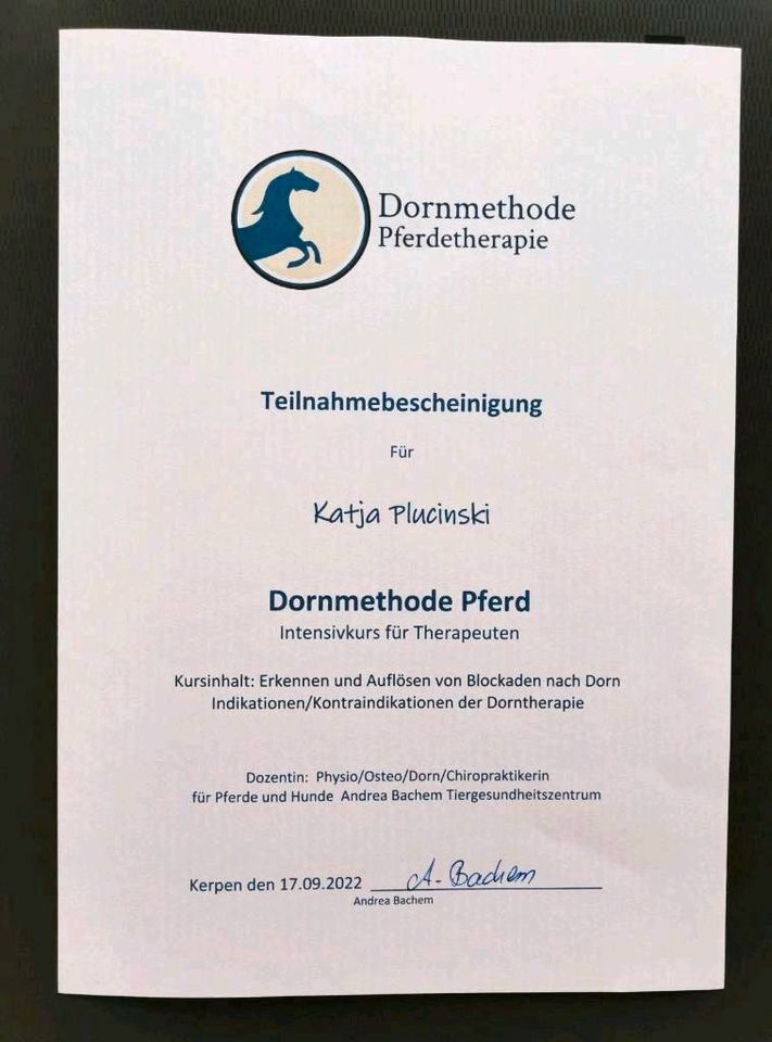 Osteopathie und Physiotherapie für Pferde in Duingen