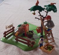 Playmobil - Apfelernte (4146) Niedersachsen - Seeburg (Niedersachsen) Vorschau