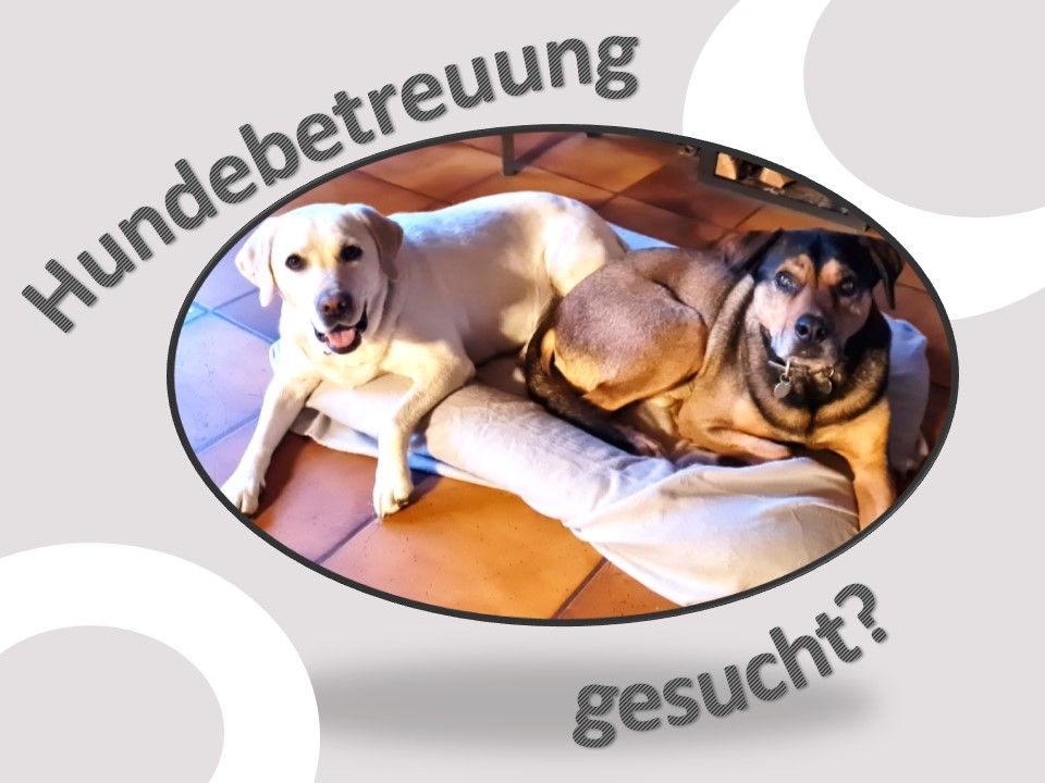 Hundebetreuung Hundesitting Urlaubsbetreuung Dogsharing in Zweibrücken