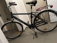 Herrenfahrrad 28 Zoll Torpedo Bremen - Schwachhausen Vorschau