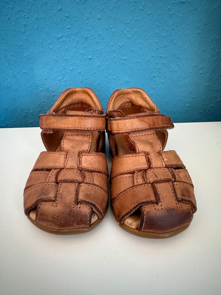 Froddo Sandalen Größe 20 in Nordhausen