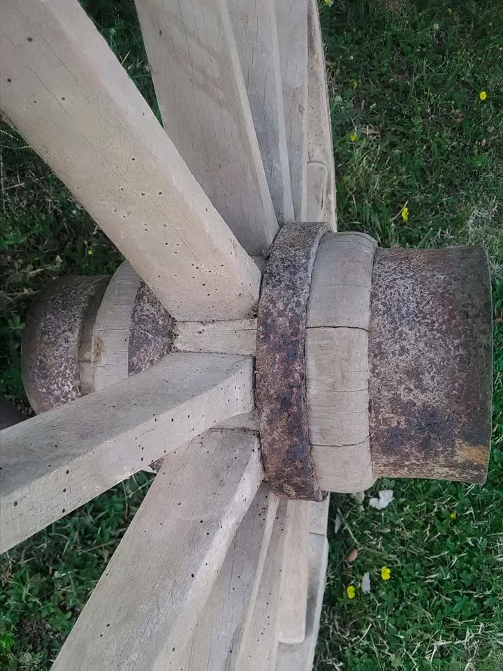 Wagenrad Antik Kutsche Holzspeichen Eisenring massiv Eiche Deko in Wischroda