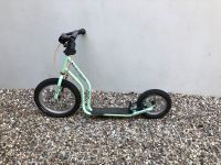 Yezoo WZOOM Kinderroller mint Hessen - Oberursel (Taunus) Vorschau