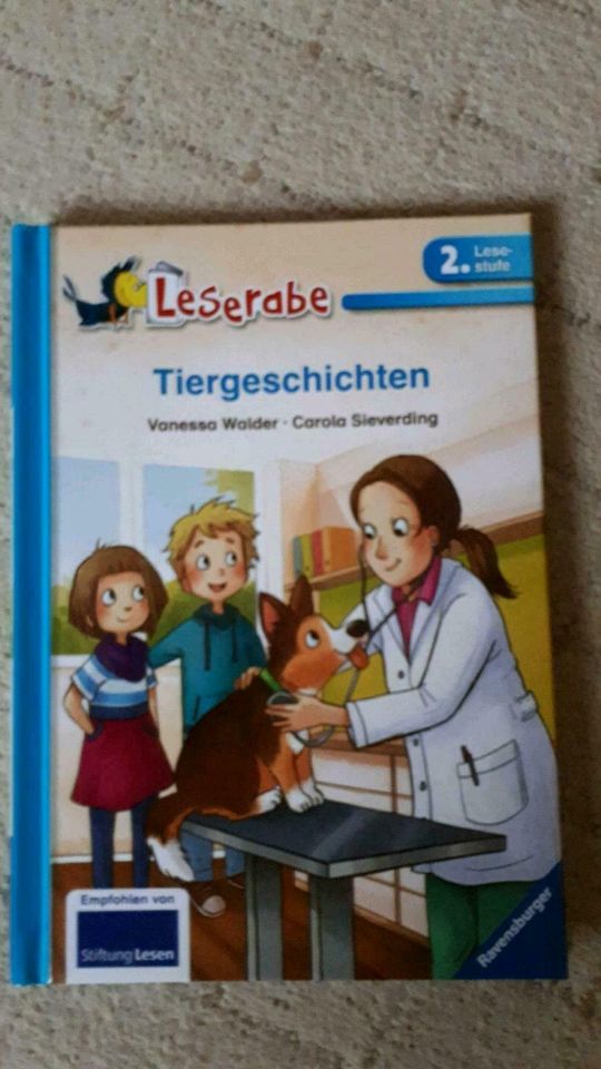 Bücher Lesestufe 2 in Regis-Breitingen