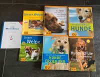 GU Hundebuch Welpe Hundeerziehung Hundeschule Welpenschule Rheinland-Pfalz - Zehnhausen bei Wallmerod Vorschau