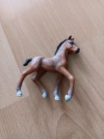 Schleich Fohlen braun klein Eimsbüttel - Hamburg Lokstedt Vorschau