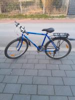 Mountainbike fahrrad 26 Zoll 19 Nordrhein-Westfalen - Blomberg Vorschau