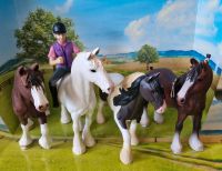 4 Schleichpferde Shire Horse mit einer Reiterin Nordrhein-Westfalen - Langenfeld Vorschau