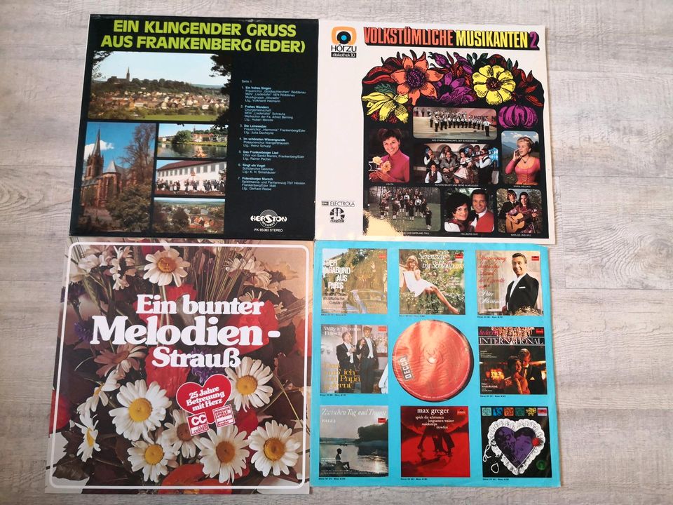 Schallplatten LP LPs Vinyl in Garbsen