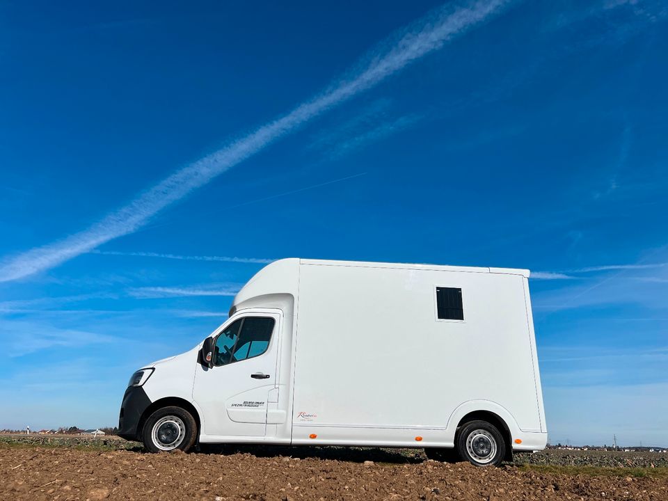 Renault ROELOFSEN YORSE 2-Pferdetransporter SONDERMODELL LKW in Vaterstetten