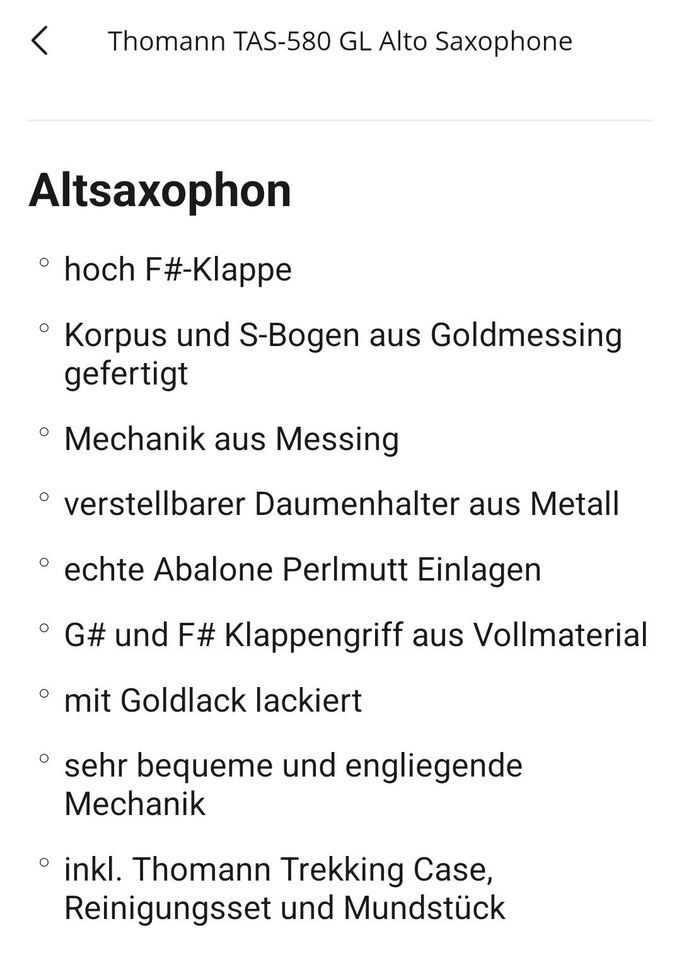 Alt Saxophon in Offenbach