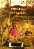 Der Feuerteufel von Brigitte Blobel Sachsen - Radeberg Vorschau