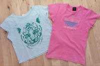 Adidas Tshirt 152 + Tshirt Tigerkopf 146-152 Bayern - Altdorf Vorschau