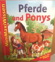 Mini Maxi Wissen Pferde und Ponys Schleswig-Holstein - Molfsee Vorschau