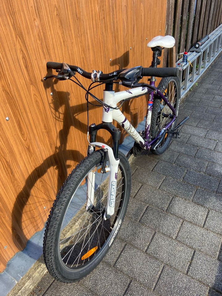 Scott Contessa 26“ Fahrrad/Mountainbike in Siebeldingen