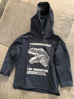 Hoody h&m 110/116 Dino Kapuzenpulli Hessen - Kassel Vorschau