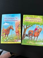 Sternschnuppe Bücher Nordrhein-Westfalen - Bornheim Vorschau
