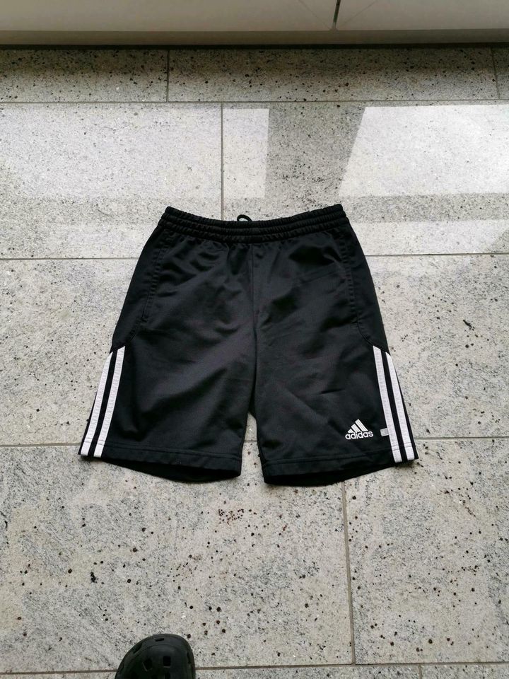 Adidas, Short Gr. 152 in Marl