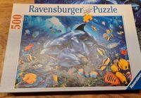 Ravensburger 500 Teile Puzzle Delphine Meer Hessen - Bad Soden am Taunus Vorschau