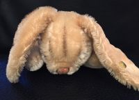 Steiff Hase Floppy Bonn - Plittersdorf Vorschau