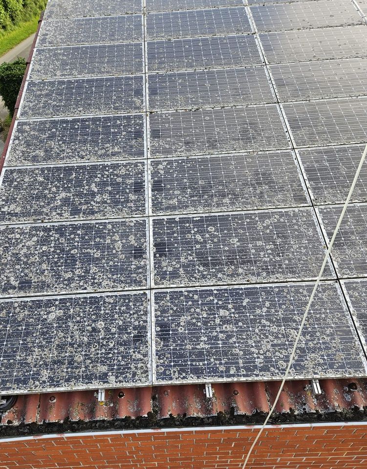 Reinigung von PV-Anlagen / Photovoltaikanlagen / Solaranlagen in Warendorf