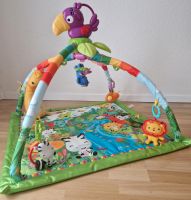 Baby-Spielbogen "Rainforest" von Fisher Price Nordrhein-Westfalen - Bergisch Gladbach Vorschau